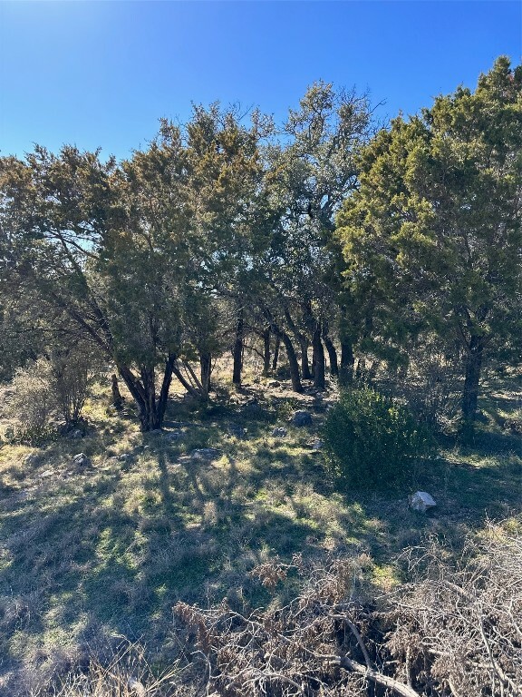 Property Photo: Lt 27082 Mustang Drive TX 78654