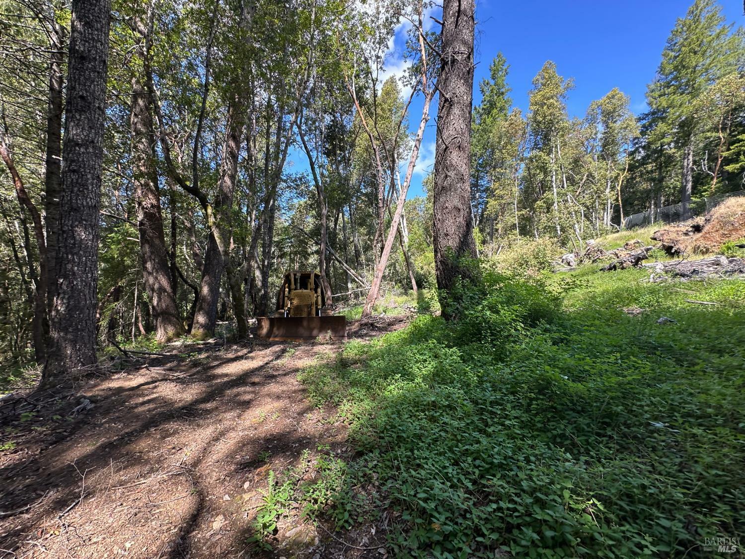 Property Photo: 0 Little Dan Creek Road CA 95585