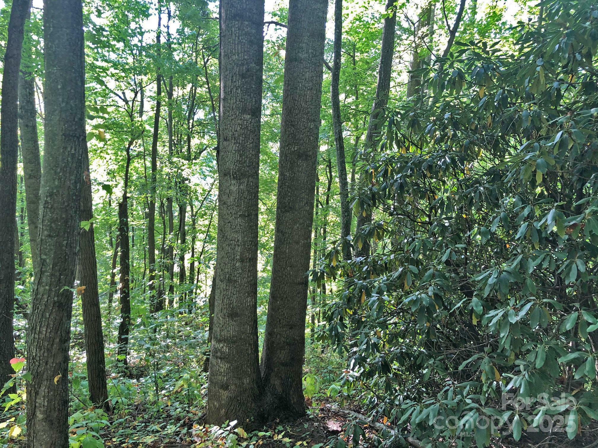 Property Photo: 112 &Amp 113 Grouse Road NC 28721