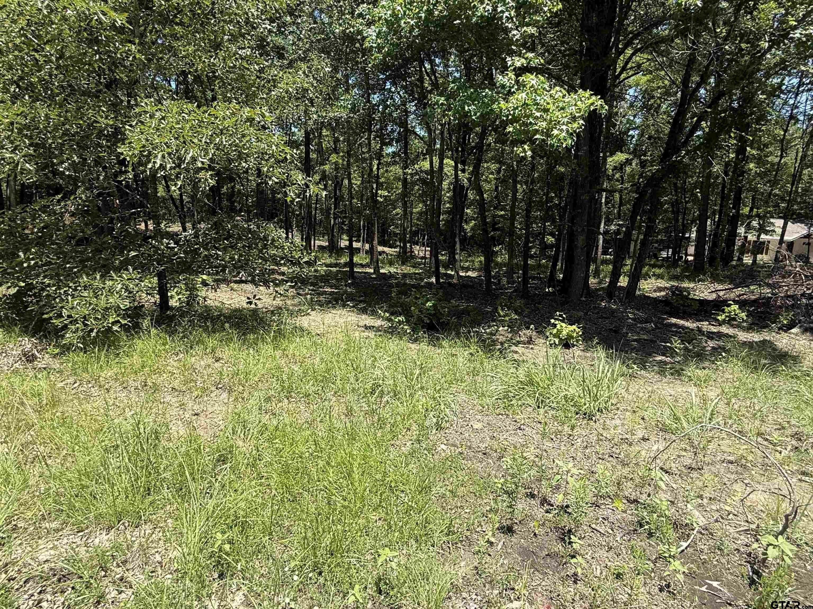 Property Photo: Tbd Pr 5861 (Lot 2) TX 75497