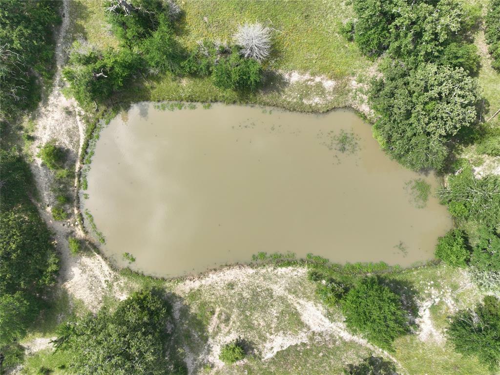 Property Photo: Tbd County Road 446 Lane TX 77878