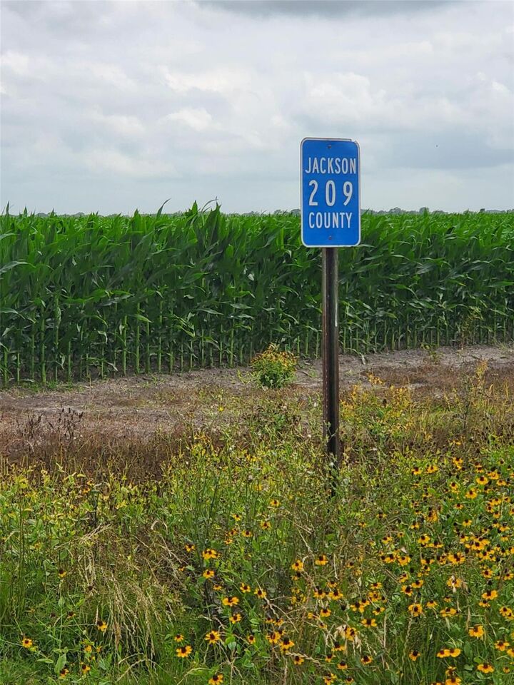 Property Photo:  0 County Road 208  TX 77962 
