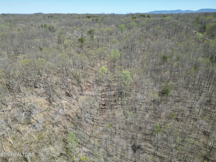 Property Photo:  Ridge Road W  TN 37367 