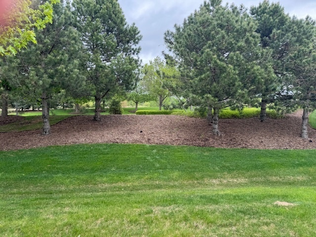 Property Photo:  3881 Melody Street  IL 60060 