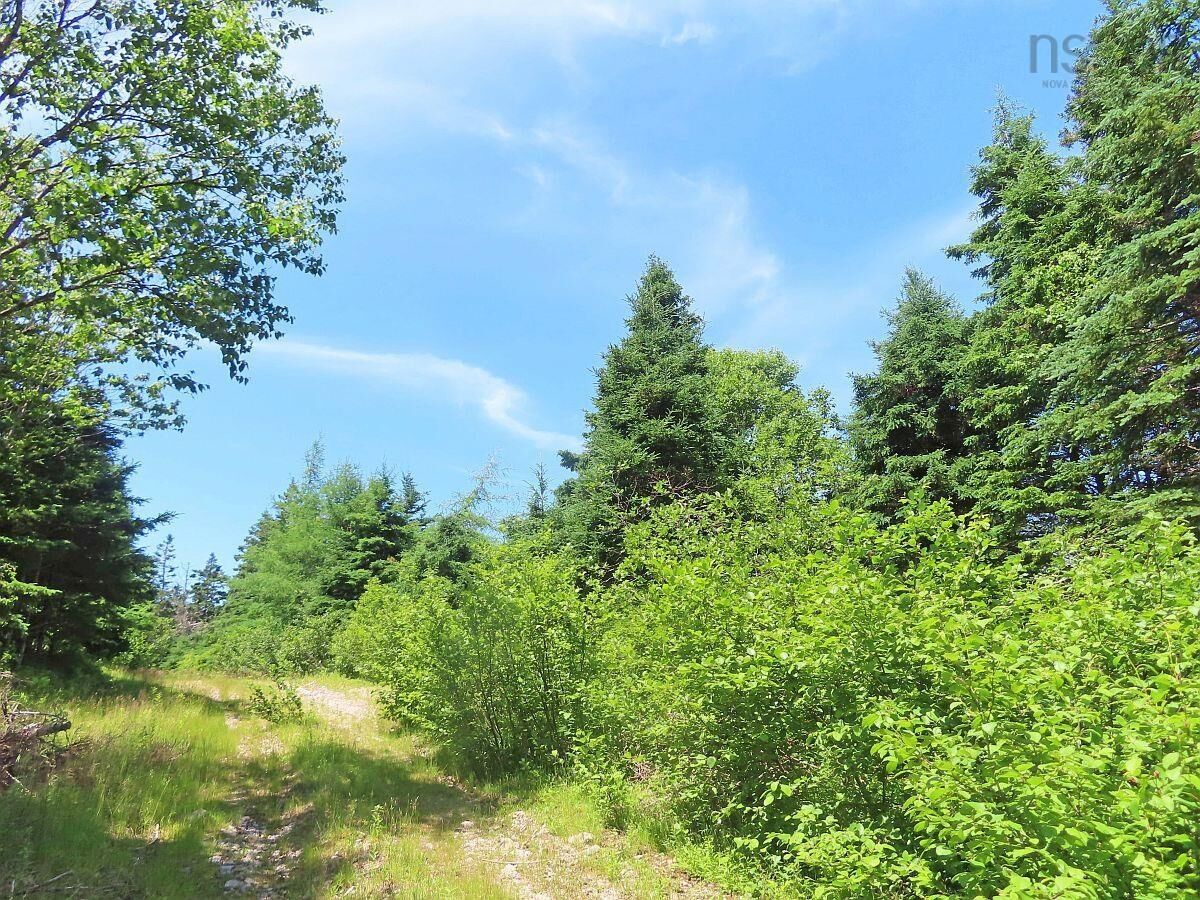 Property Photo:  20 Acres Upper Grand Mira Road  NS B1K 1M1 