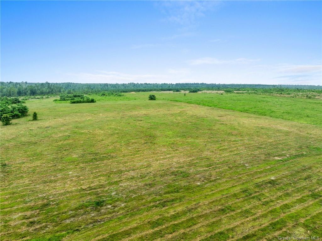 Whittington Rd Tract 1  Longville LA 70652 photo