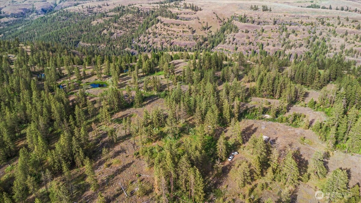 Property Photo:  0  Richardson Lane N  WA 99122 