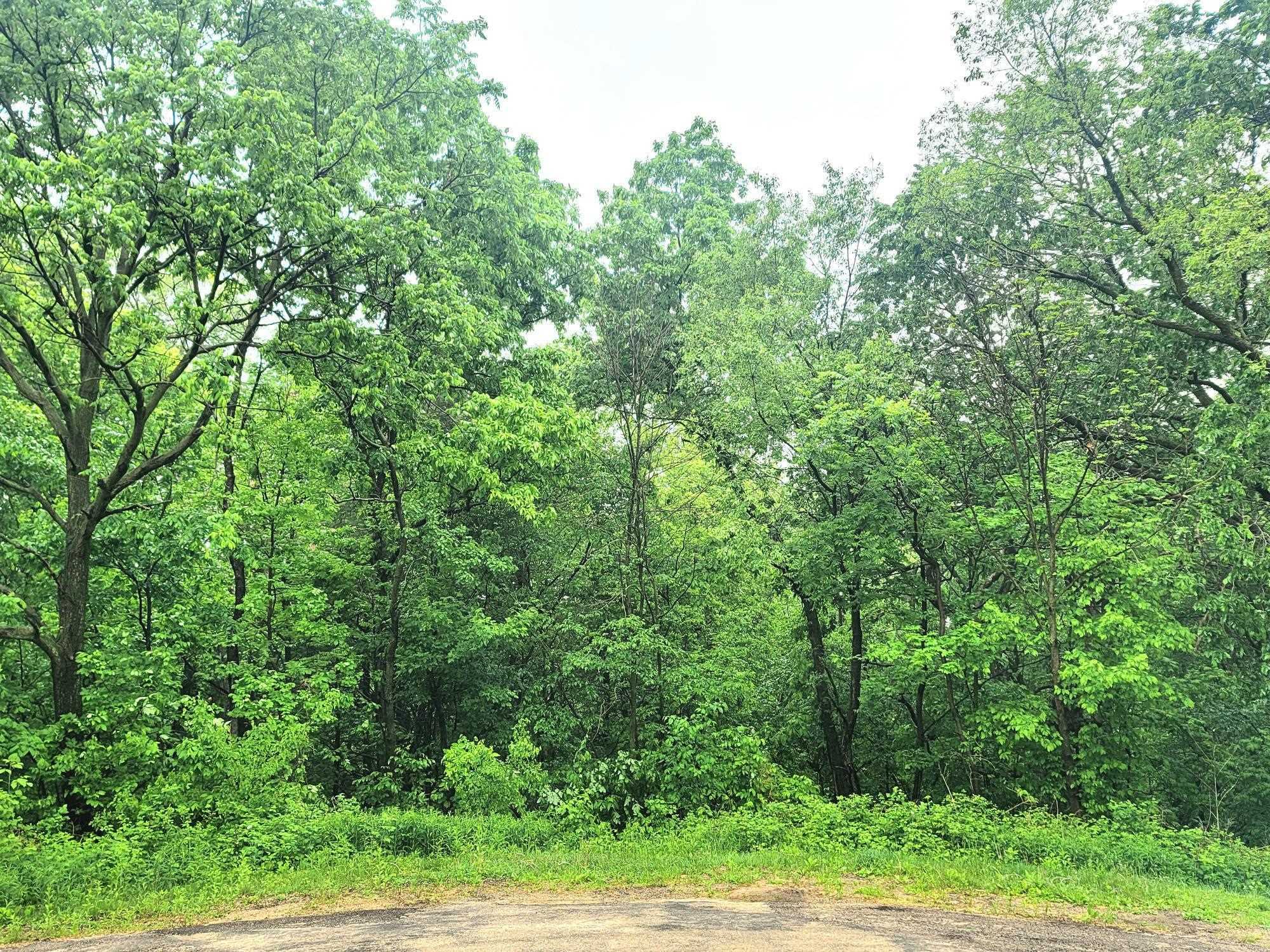 Property Photo: 4 Hillside Court IL 61036
