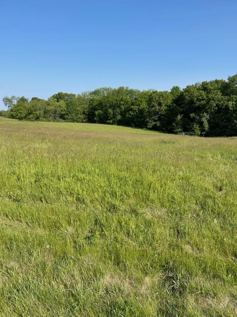 24-8 Hidden Ranch Drive  Lanark IL 61046 photo