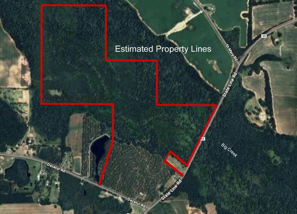 Property Photo: 0 State Line Rd &Amp Decatur Rd AL 36320