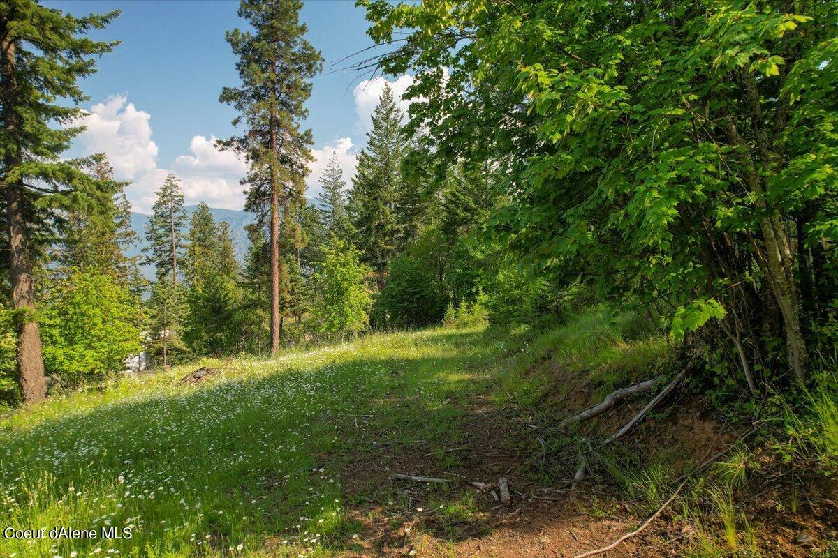 Property Photo: 699 Midas Dr ID 83860