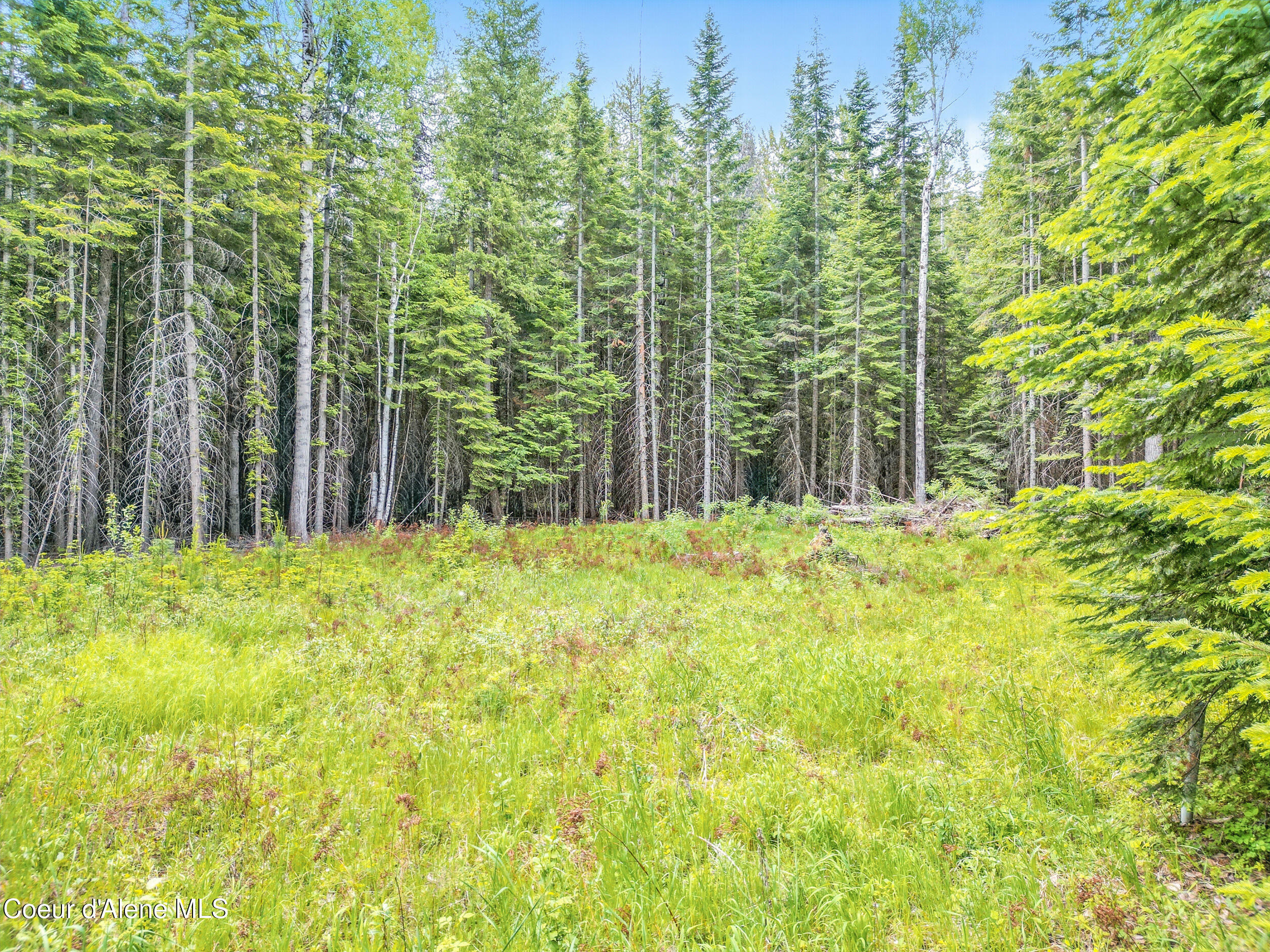 Property Photo: 92 Camas Dr. ID 83856