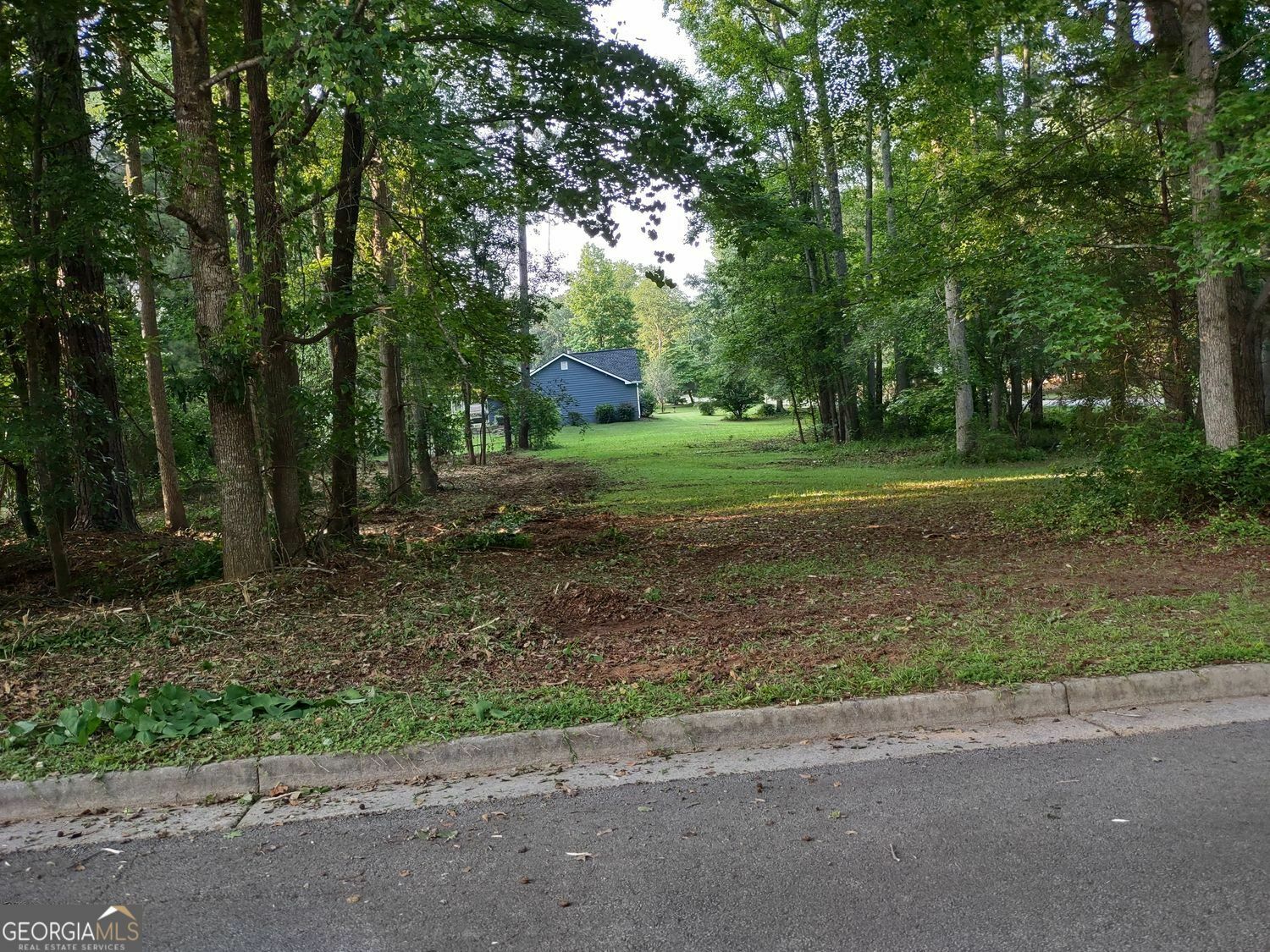 Property Photo: 0 Pine Tree Drive Lot 39 GA 30252