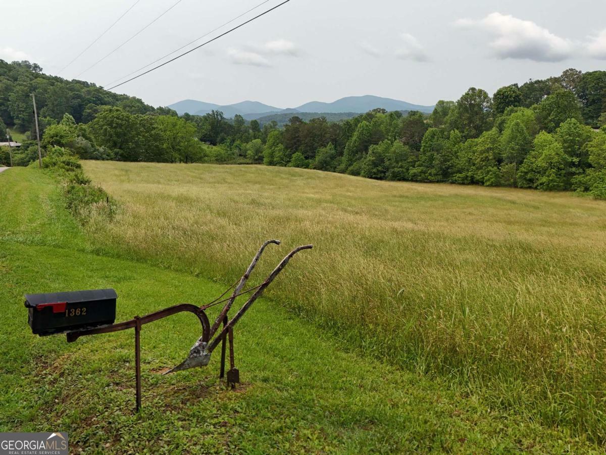 Property Photo: 7.85 Ac Lower Trackrock Road Tr1a71b GA 30512