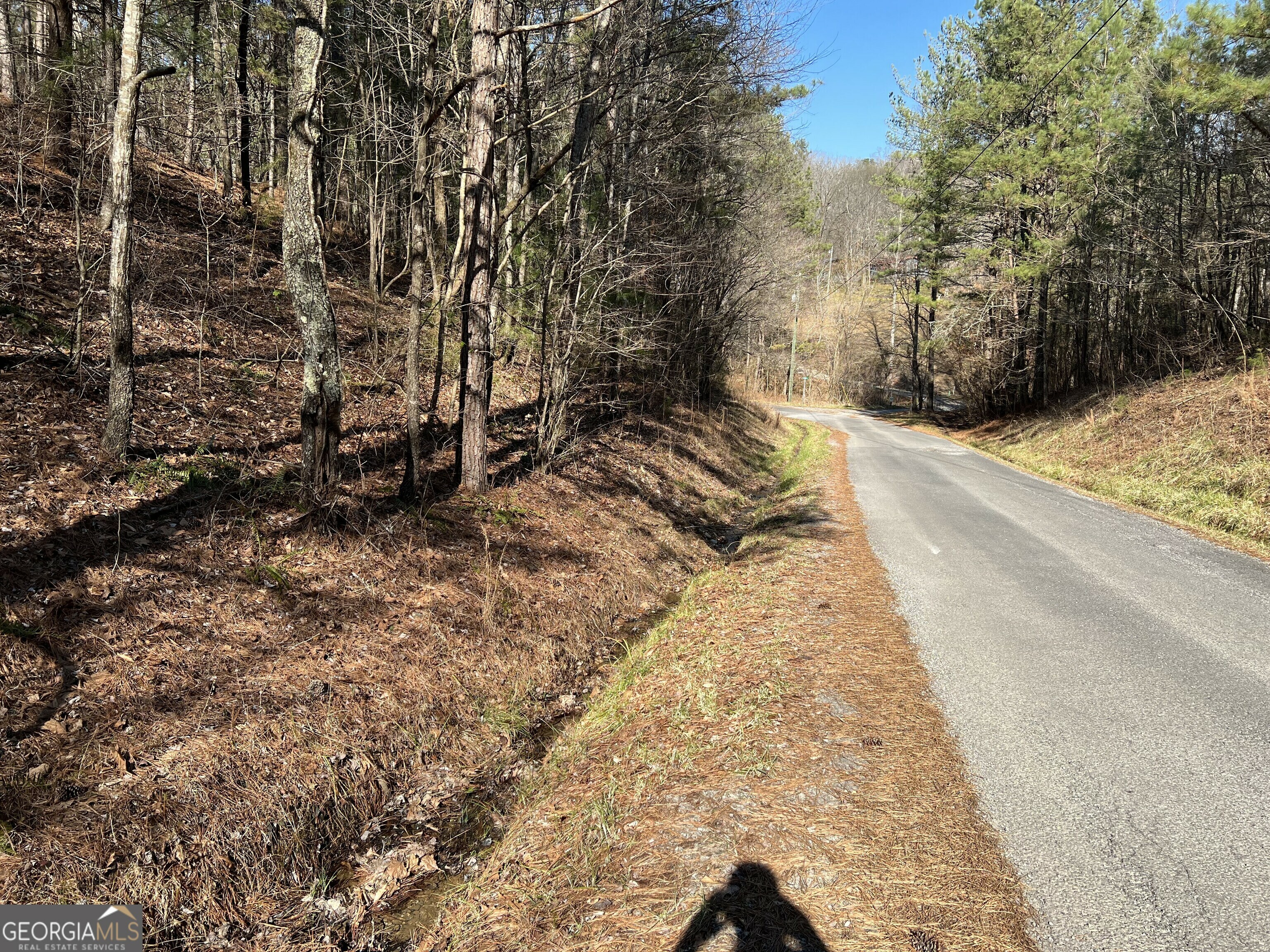 Property Photo: Lot 821 Monody Lane GA 30734