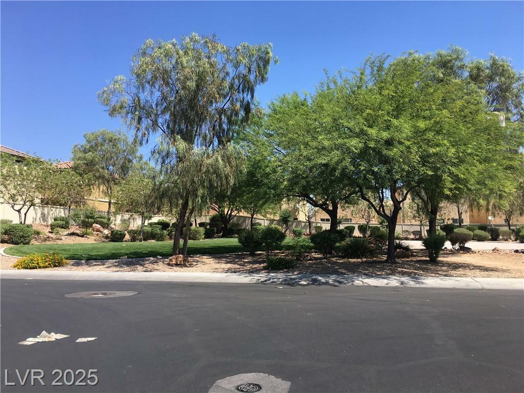 Property Photo: 9933 Carrizo Springs Avenue NV 89148