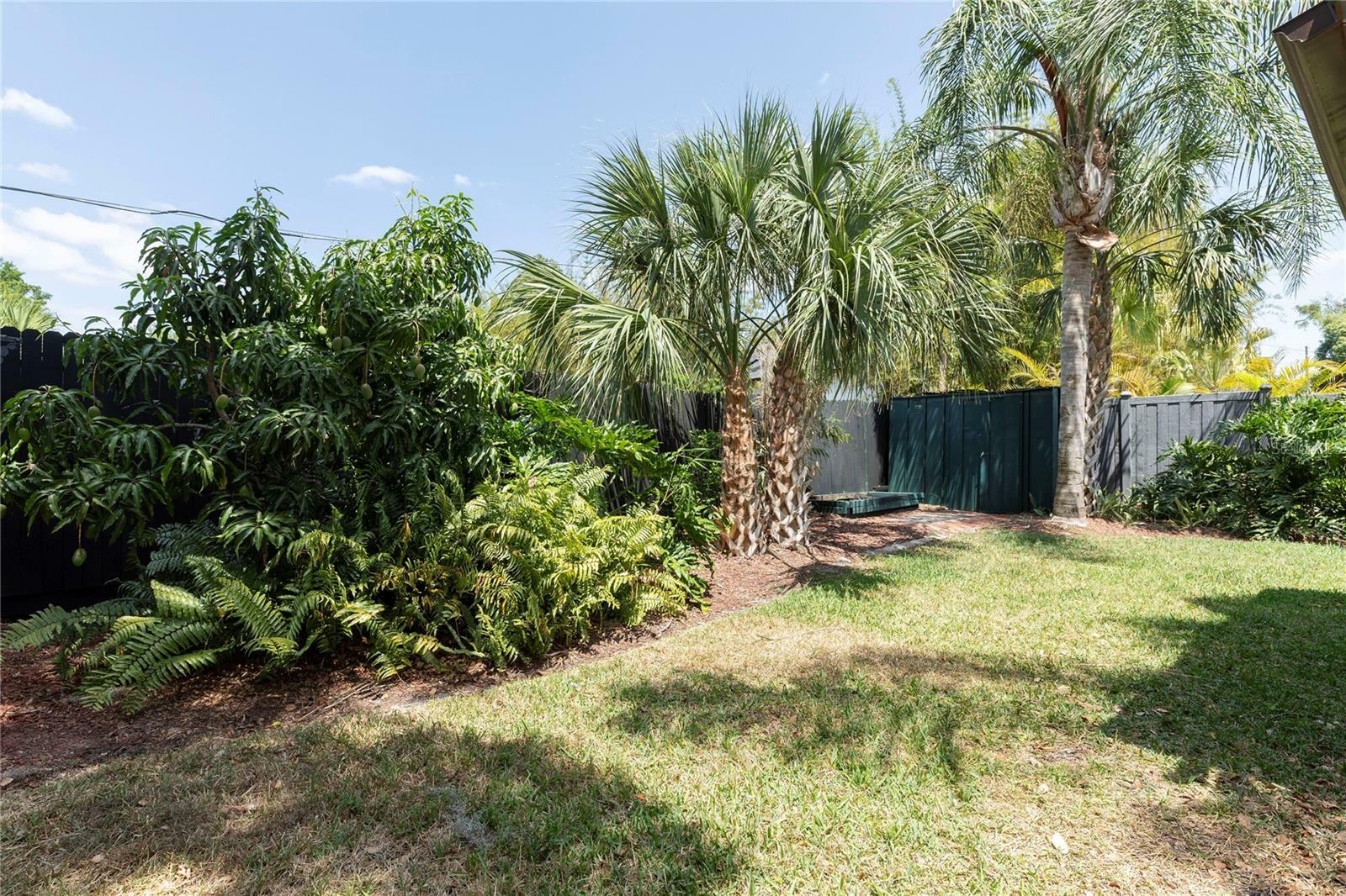 Property Photo: 2711 Parkland Drive FL 32789