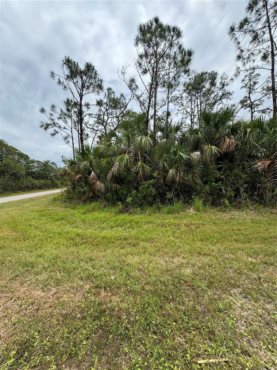 Property Photo:  12071 Wadsworth Avenue  FL 33981 