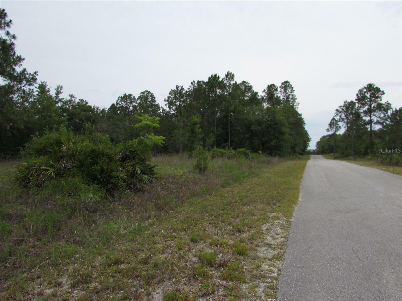 Property Photo: Lot 40 SW South Wind Court FL 34431