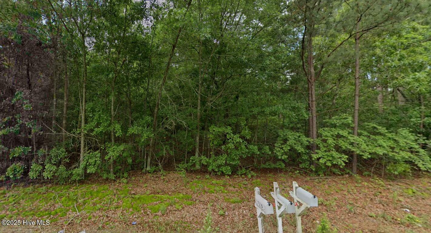 Property Photo: Tbd Palmer Road NC 28363