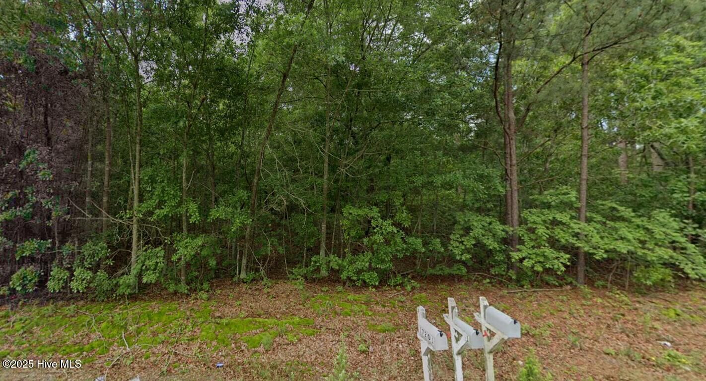 Property Photo:  Tbd Palmer Road  NC 28363 