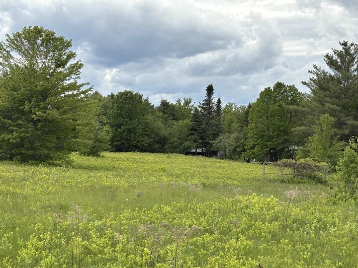 Property Photo: 00 Route 118 NH 03266