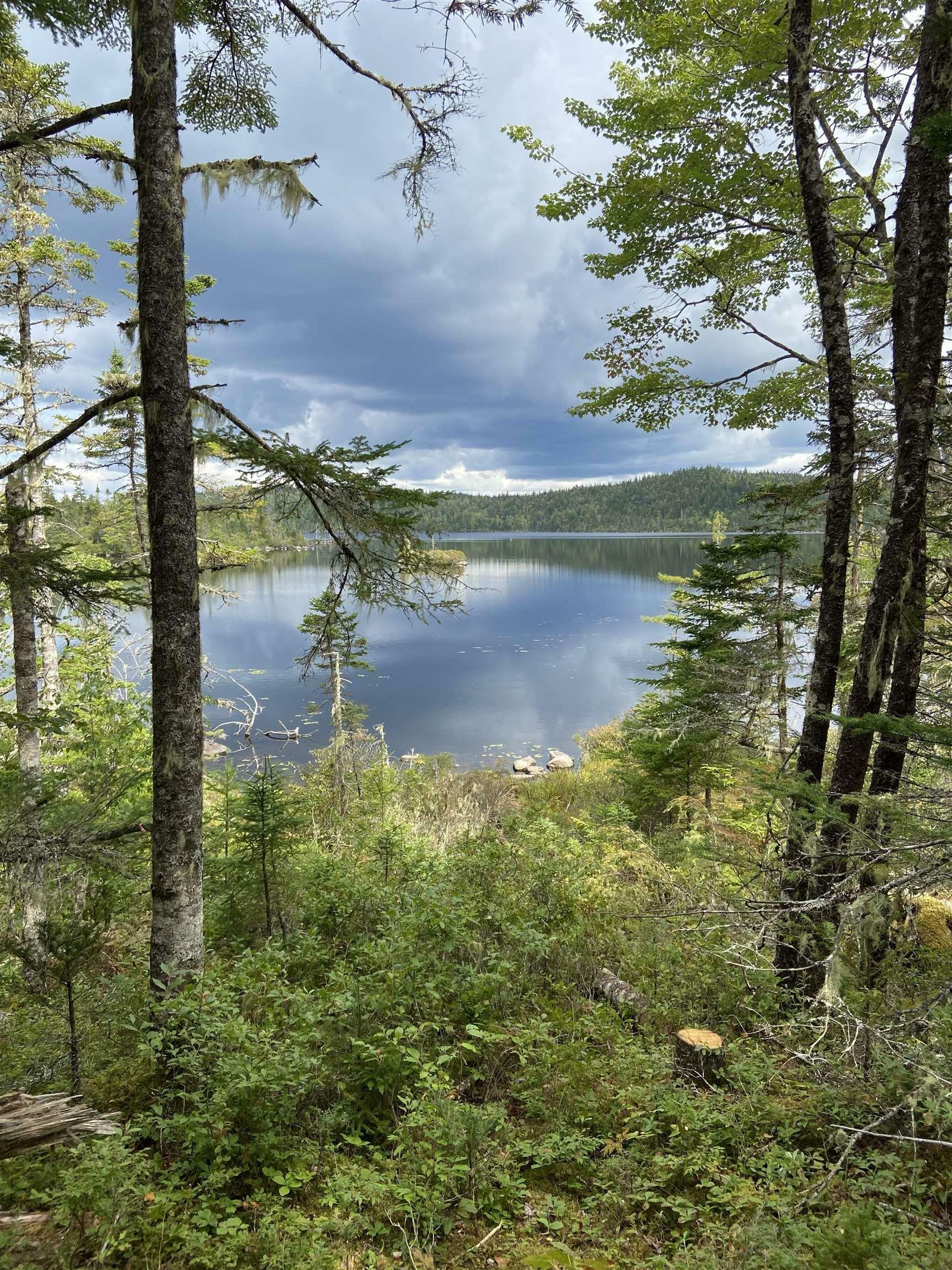 Photo de la propriété:  Lot 8C Longbridge Lake  NS B0J 2L0 