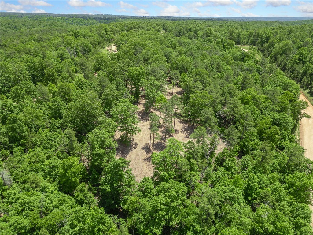 Tbd Morgan Cave Road  Harrison AR 72601 photo