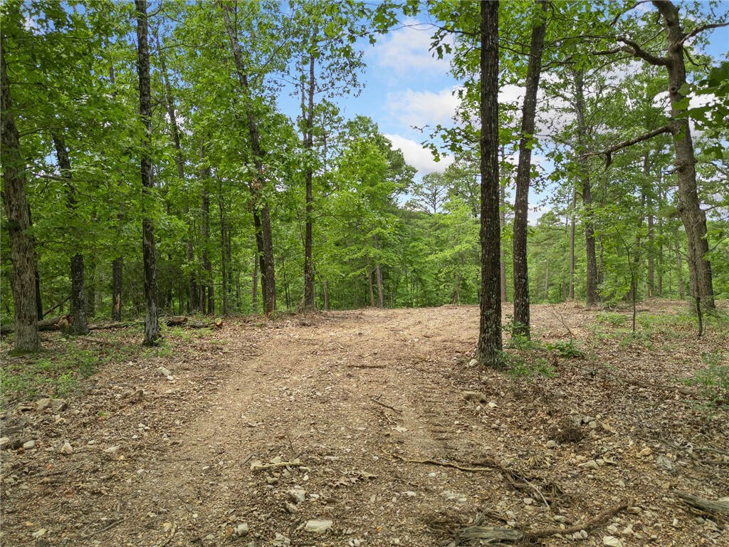 Property Photo: Tbd Morgan Cave Road AR 72601