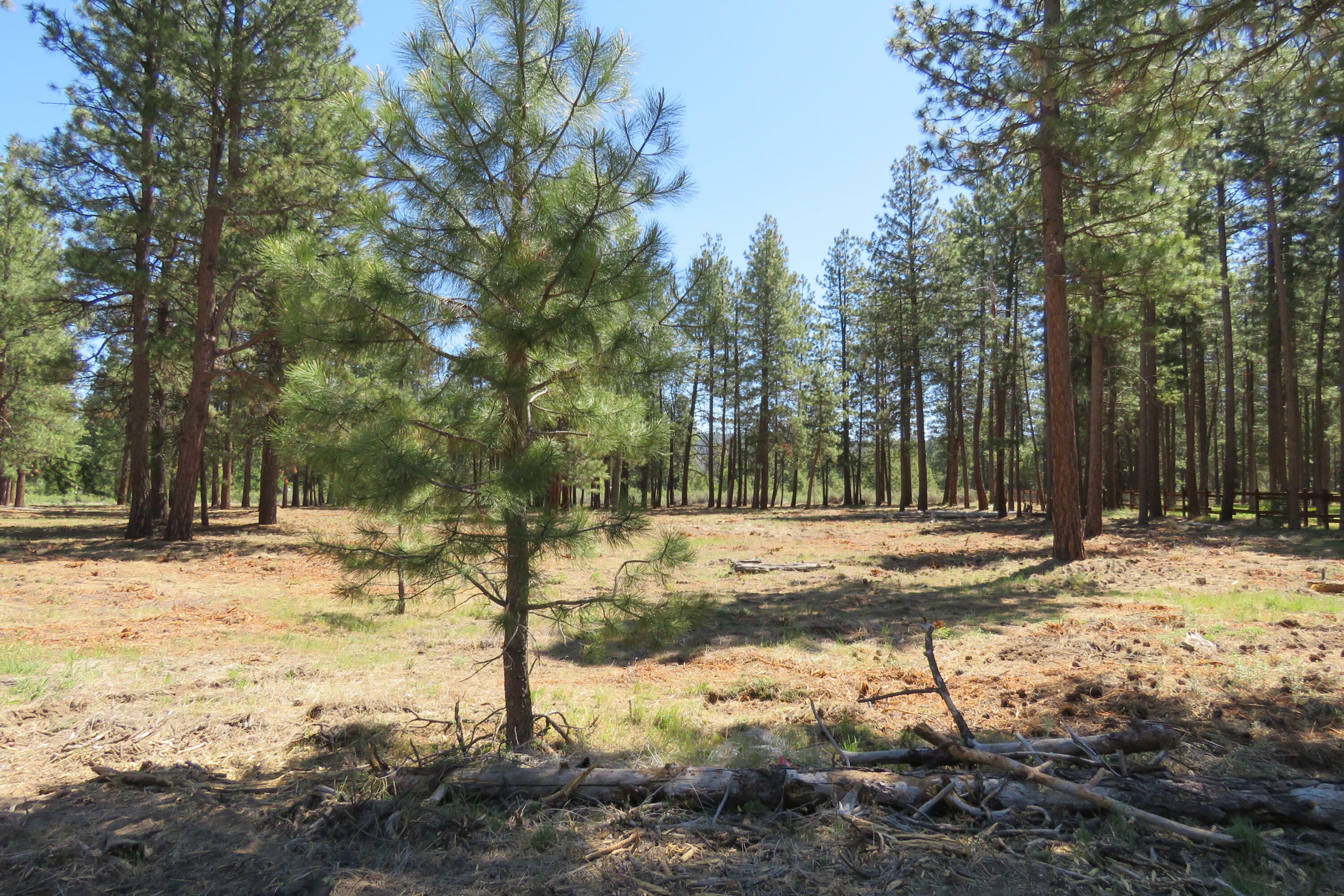 Property Photo: 7 Castle Drive OR 97624