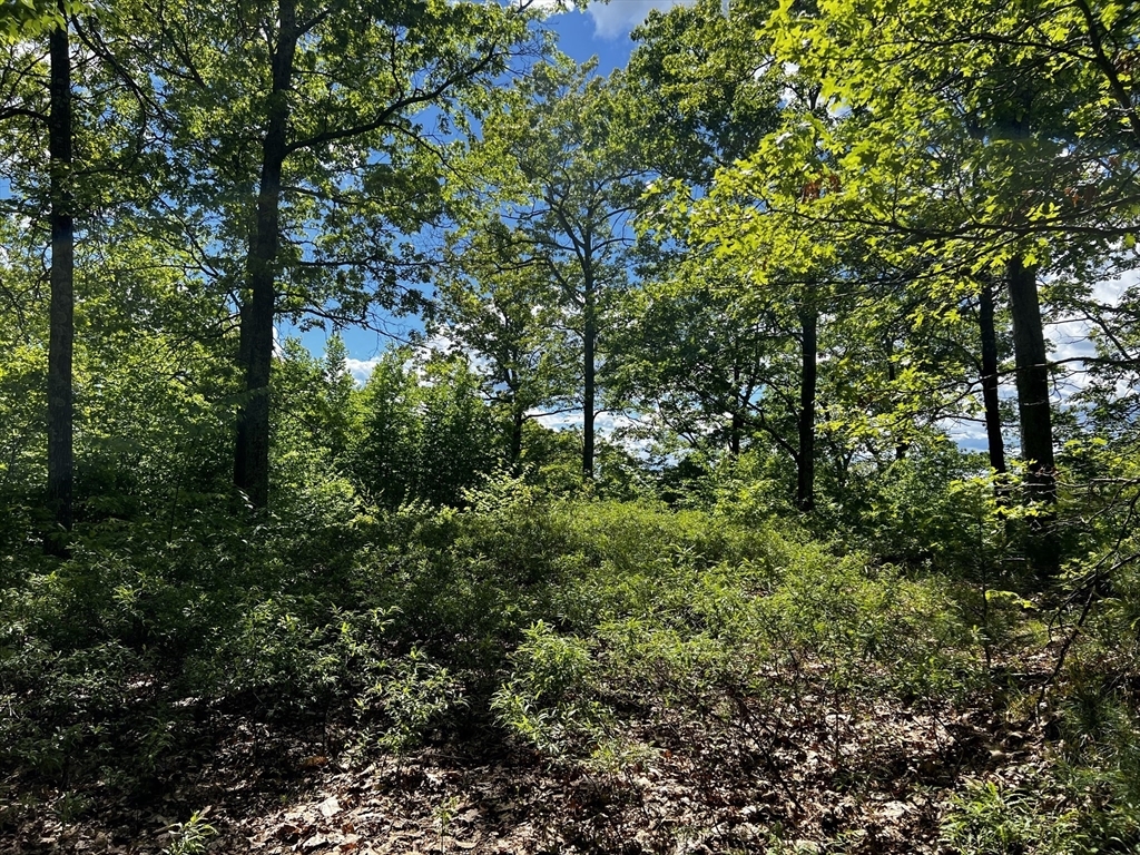 Property Photo: Lot 2 Hannabrooke Lane MA 01351