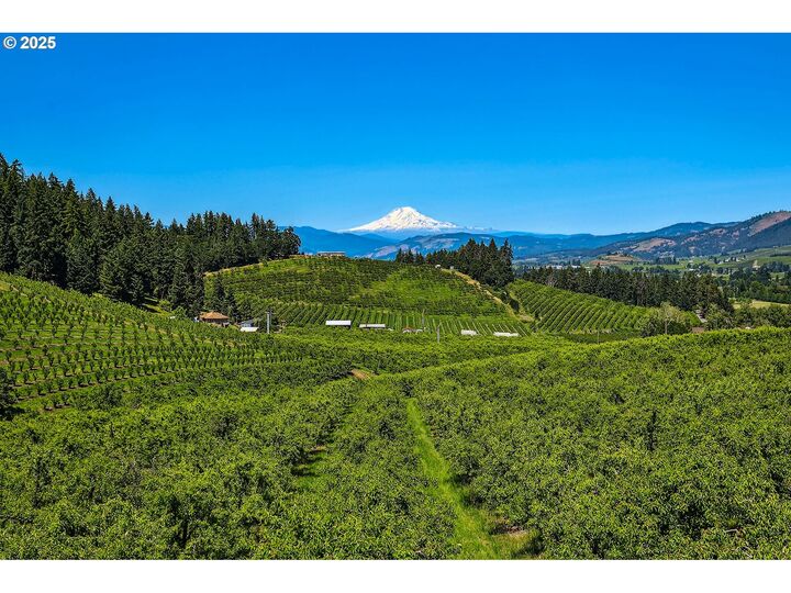 Property Photo:  3720 Scott Rd  OR 97031