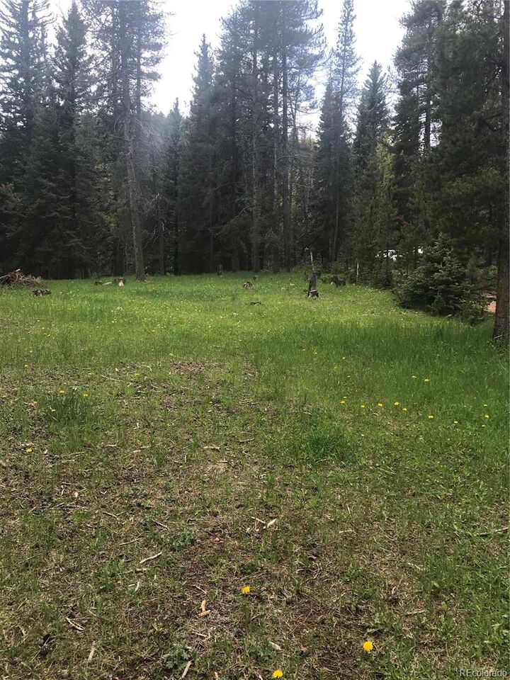 0 Shadow Mountain Drive  Conifer CO 80433 photo
