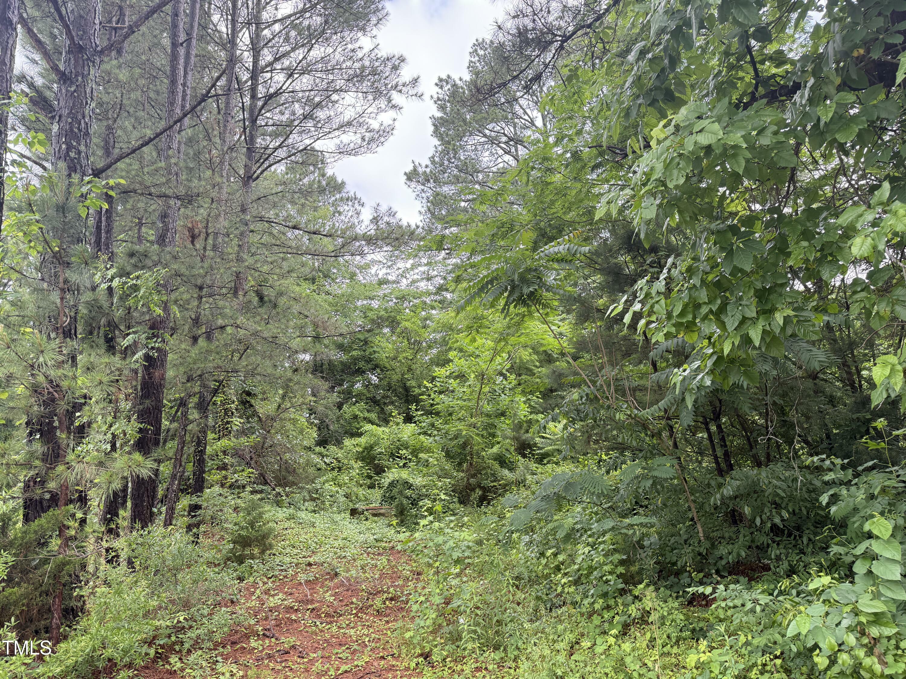 Property Photo: 552 Thomas Street NC 27537