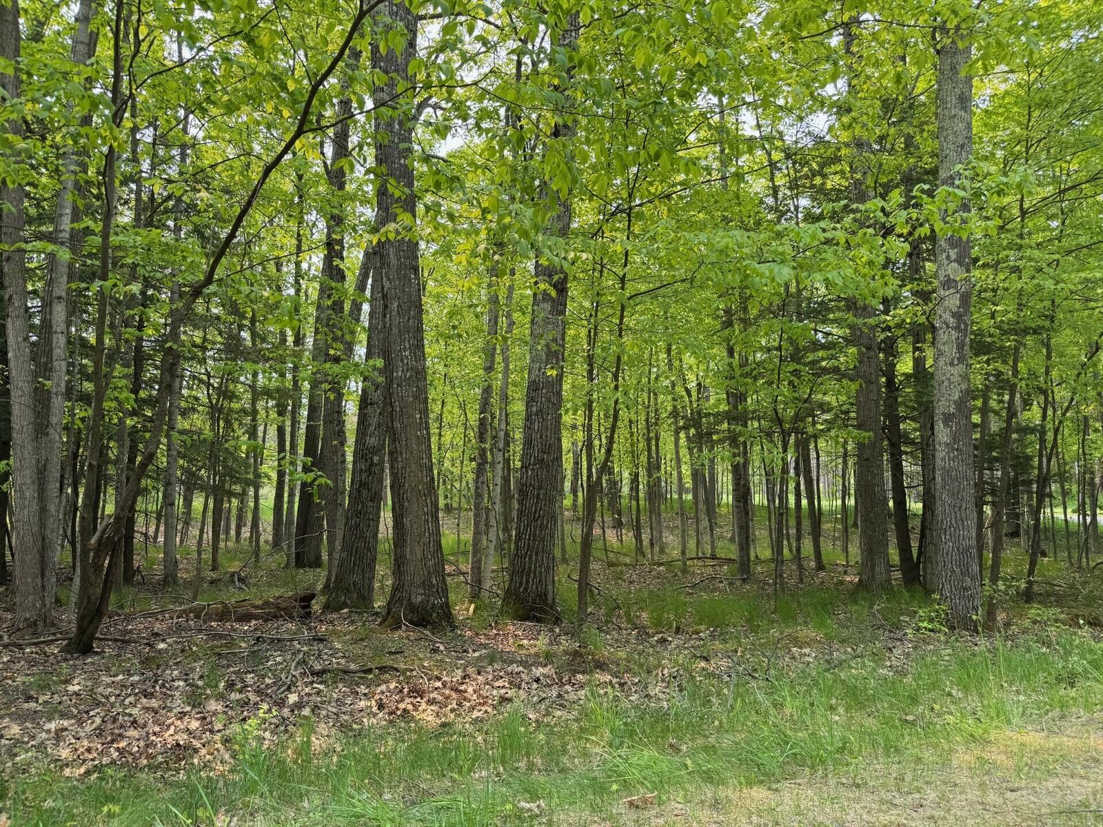 Property Photo: 5945 Lodgepole Road MI 49740