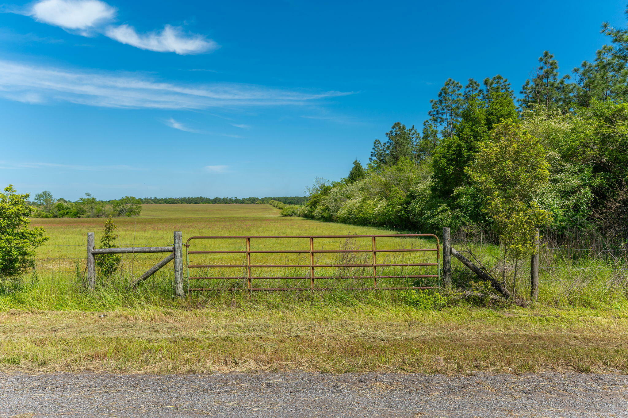 Property Photo: Parcel B Adams Drive FL 32433