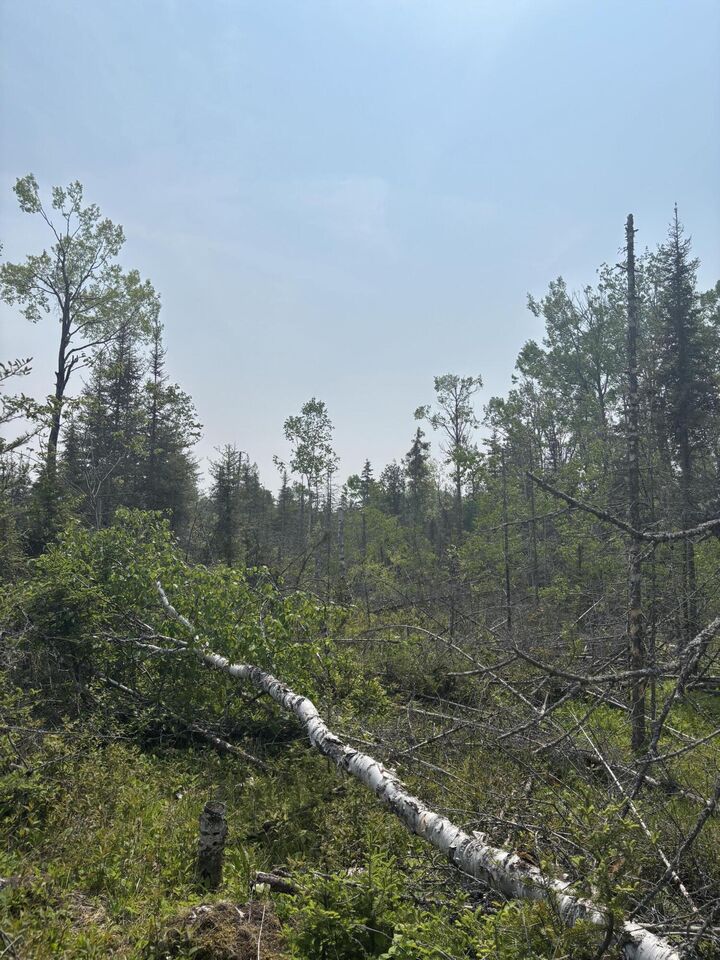 Property Photo: Tbd W M-134 Hwy MI 49745