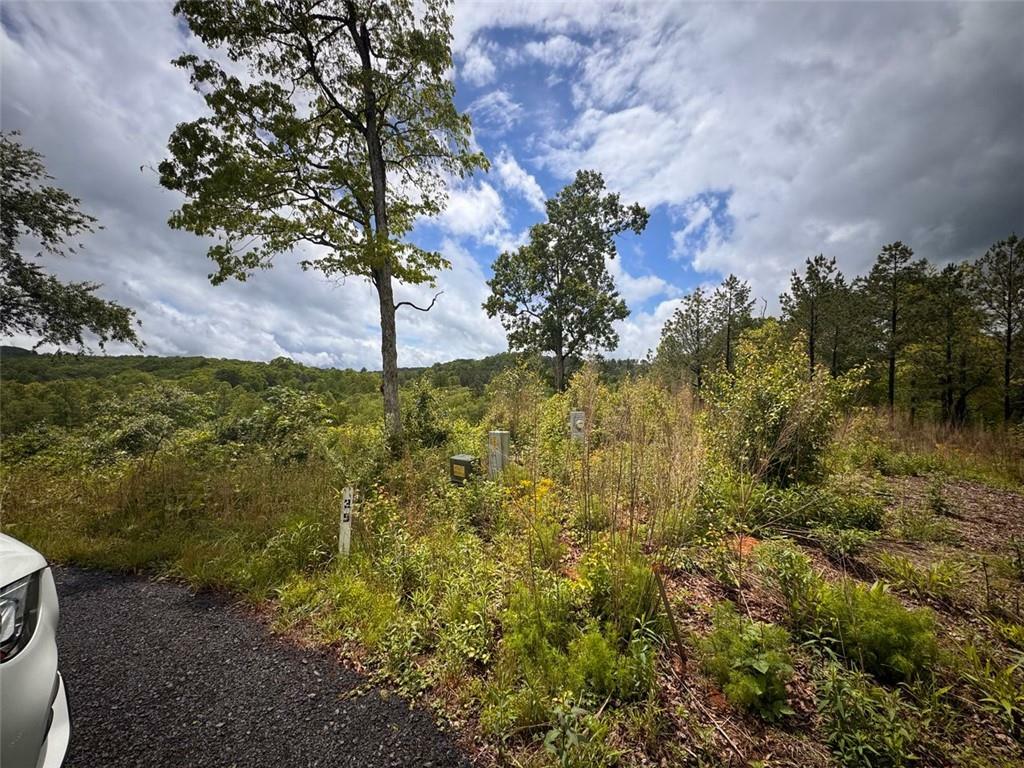 Property Photo: 35 Arbor Creek GA 30559