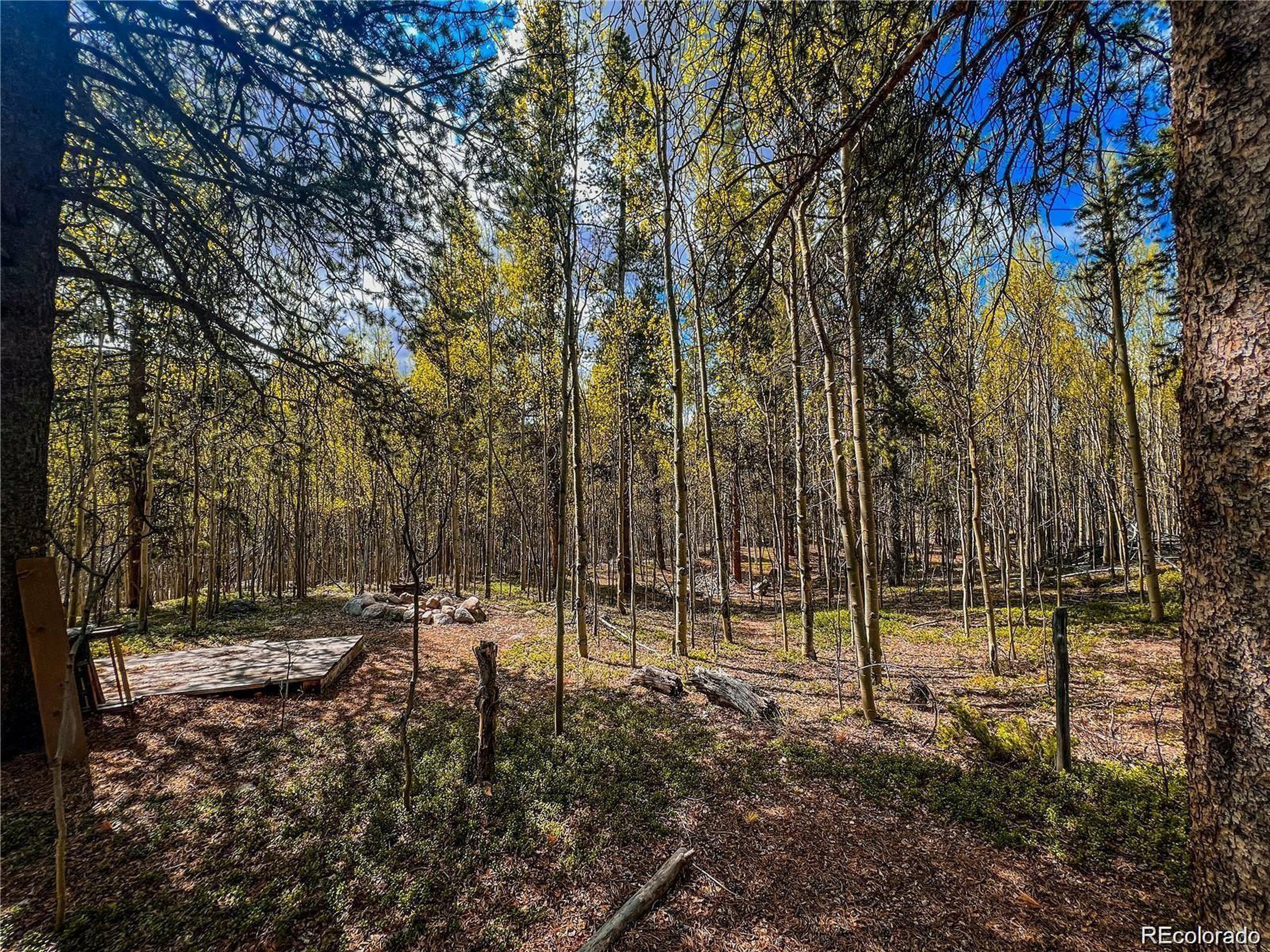Property Photo:  2564 Empire Valley Dr  CO 80461 