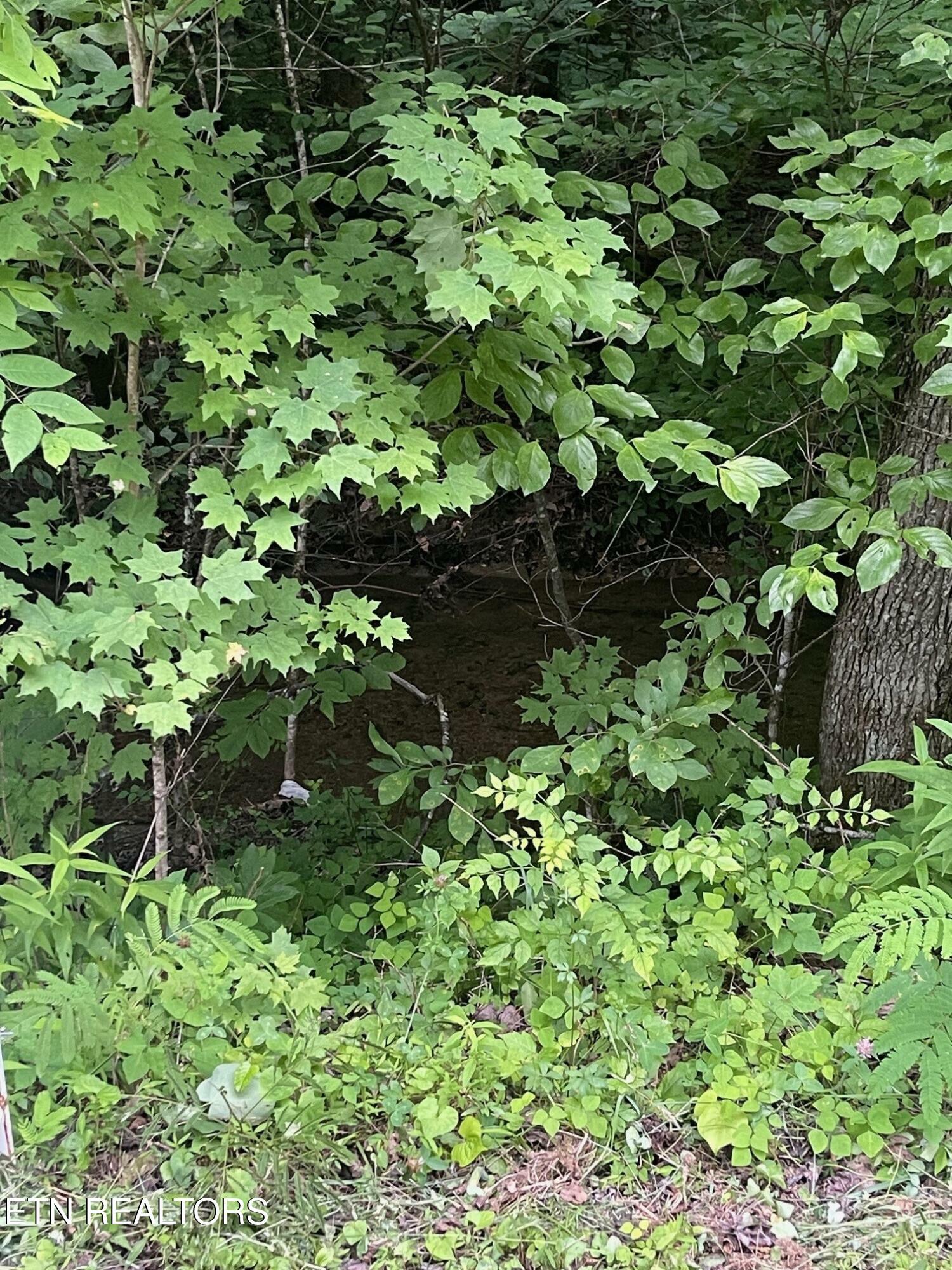Property Photo: 1477 Old Chilhowee Rd TN 37865