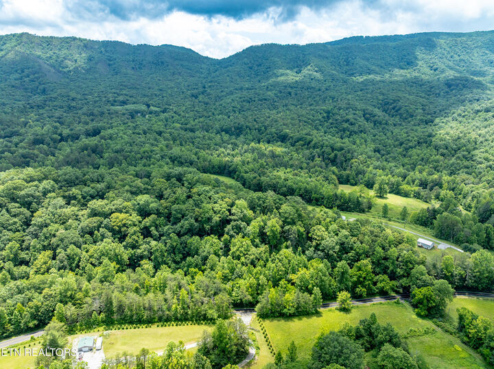 Property Photo:  1477 Old Chilhowee Rd  TN 37865 