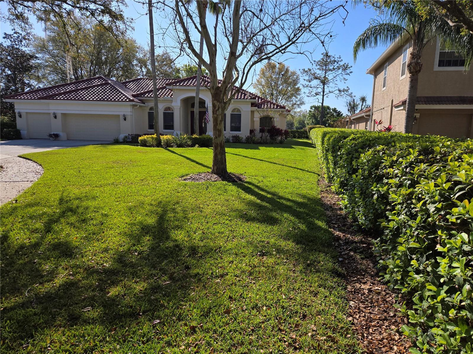 Property Photo: 9127 Woodridge Run Drive FL 33647