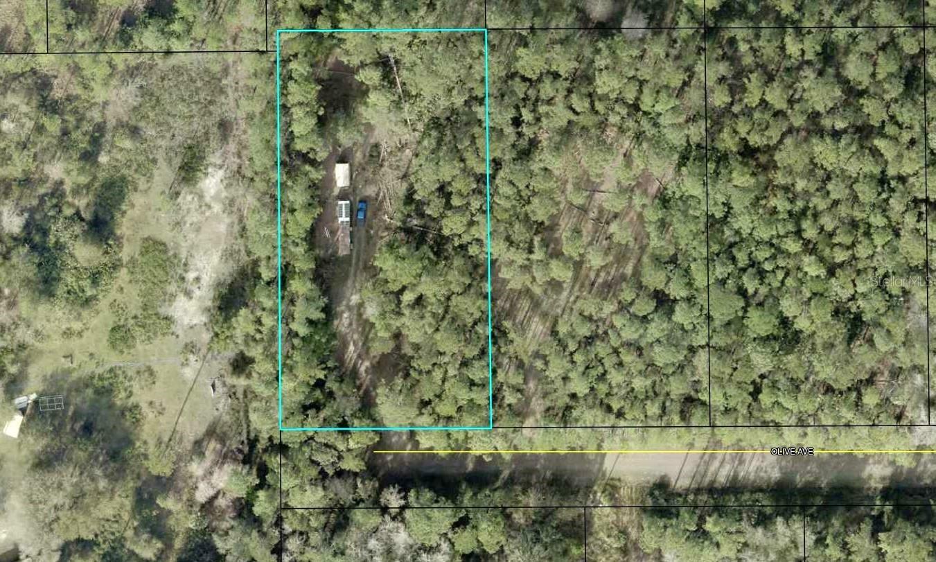 Property Photo: 5334 Olive Avenue FL 32110