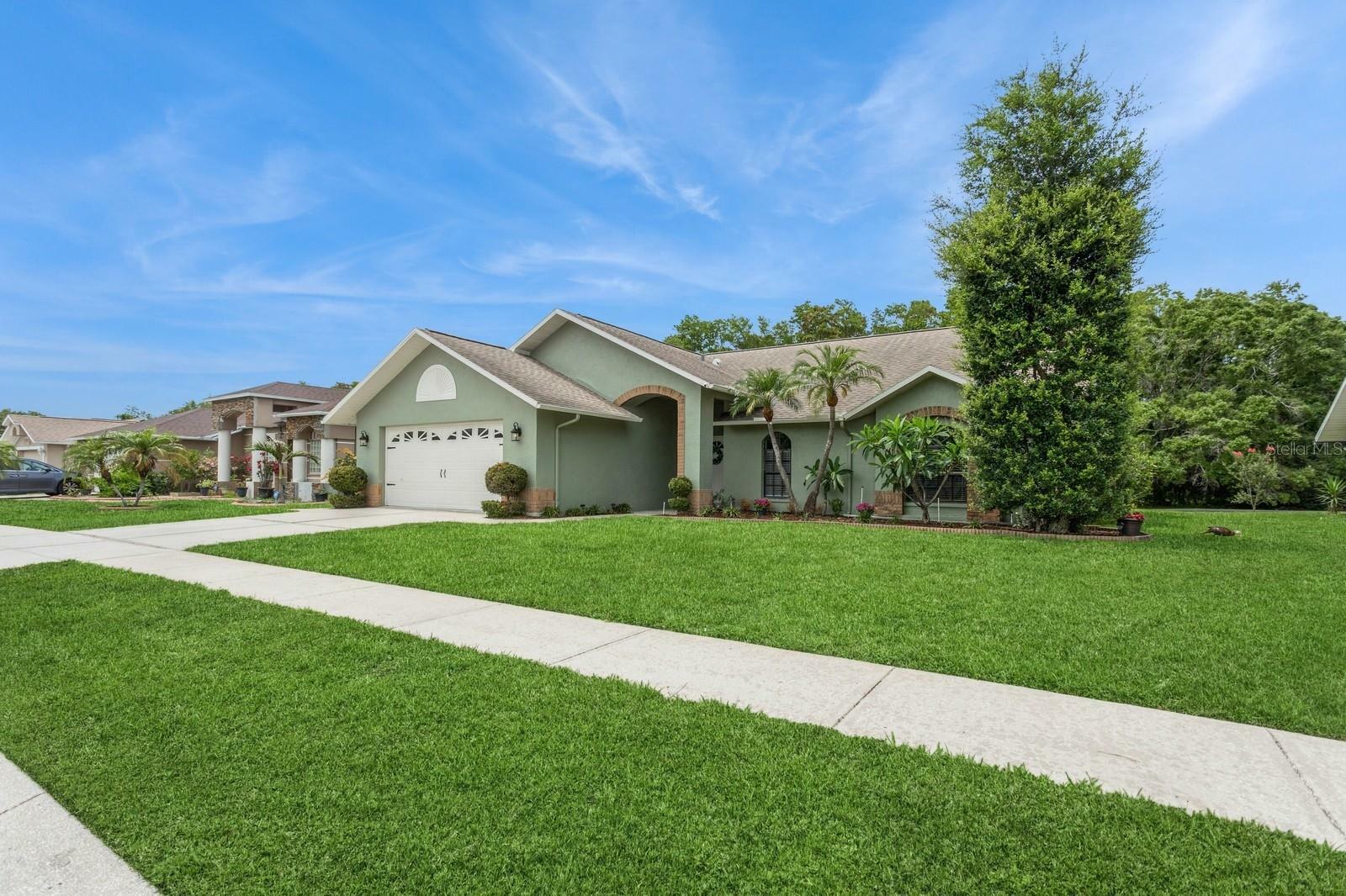 Property Photo: 8549 Pinafore Drive FL 34653