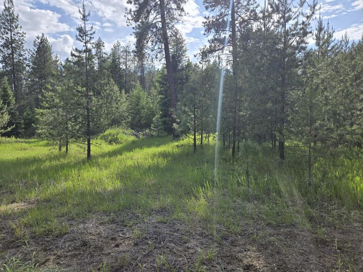 26xx Sand Canyon Lot 3 Rd  Chewelah WA 99109 photo