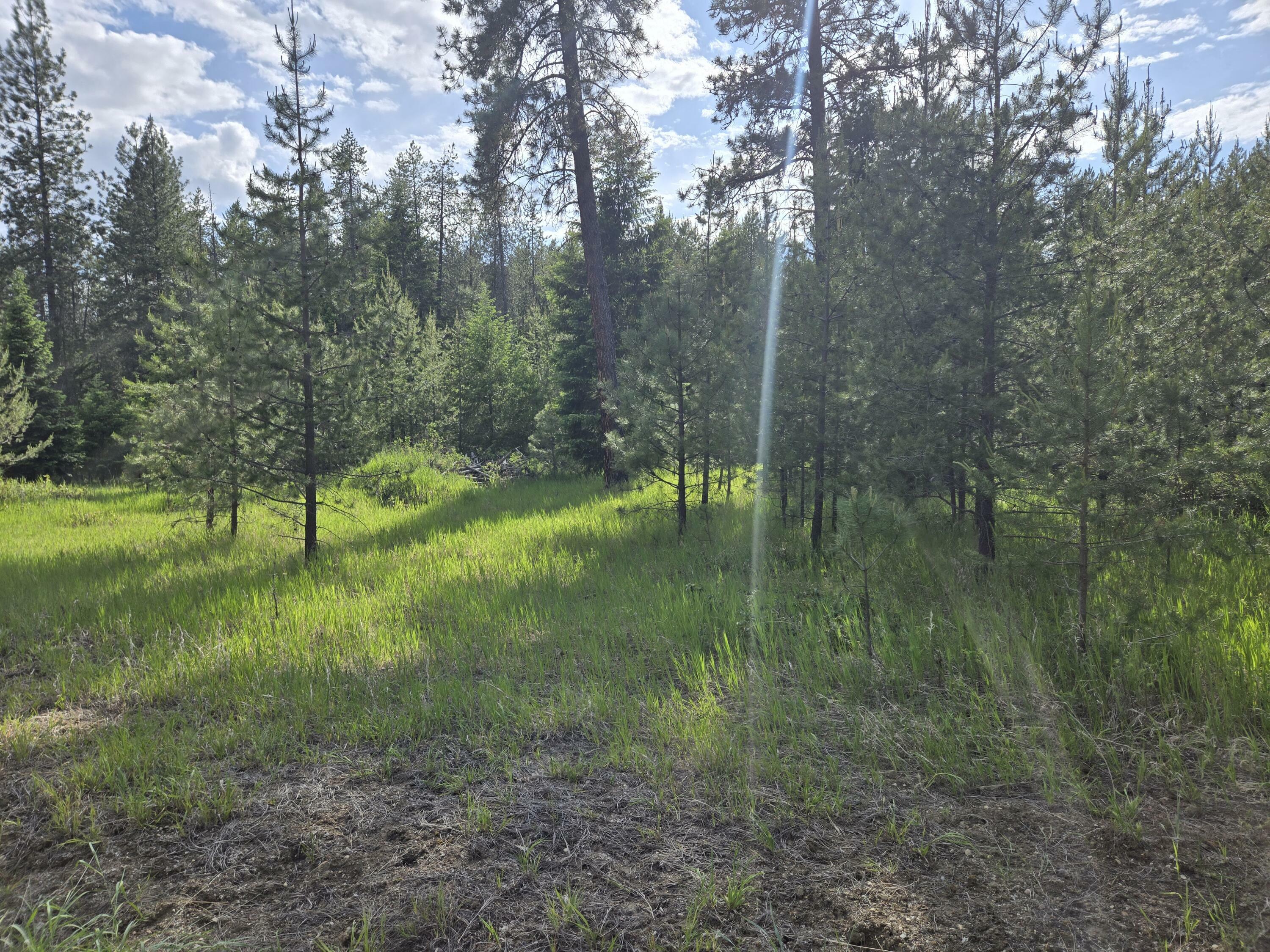Property Photo: 26xx Sand Canyon Lot 3 Rd WA 99109