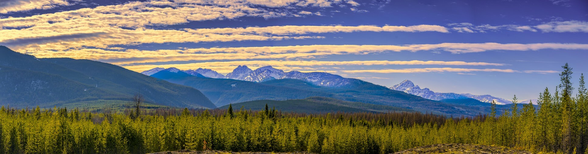 Property Photo: Nhn Stoner Lake Road MT 59826