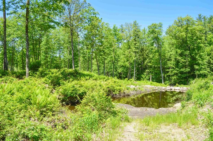 Property Photo: 00 Mulligan Row NH 03467