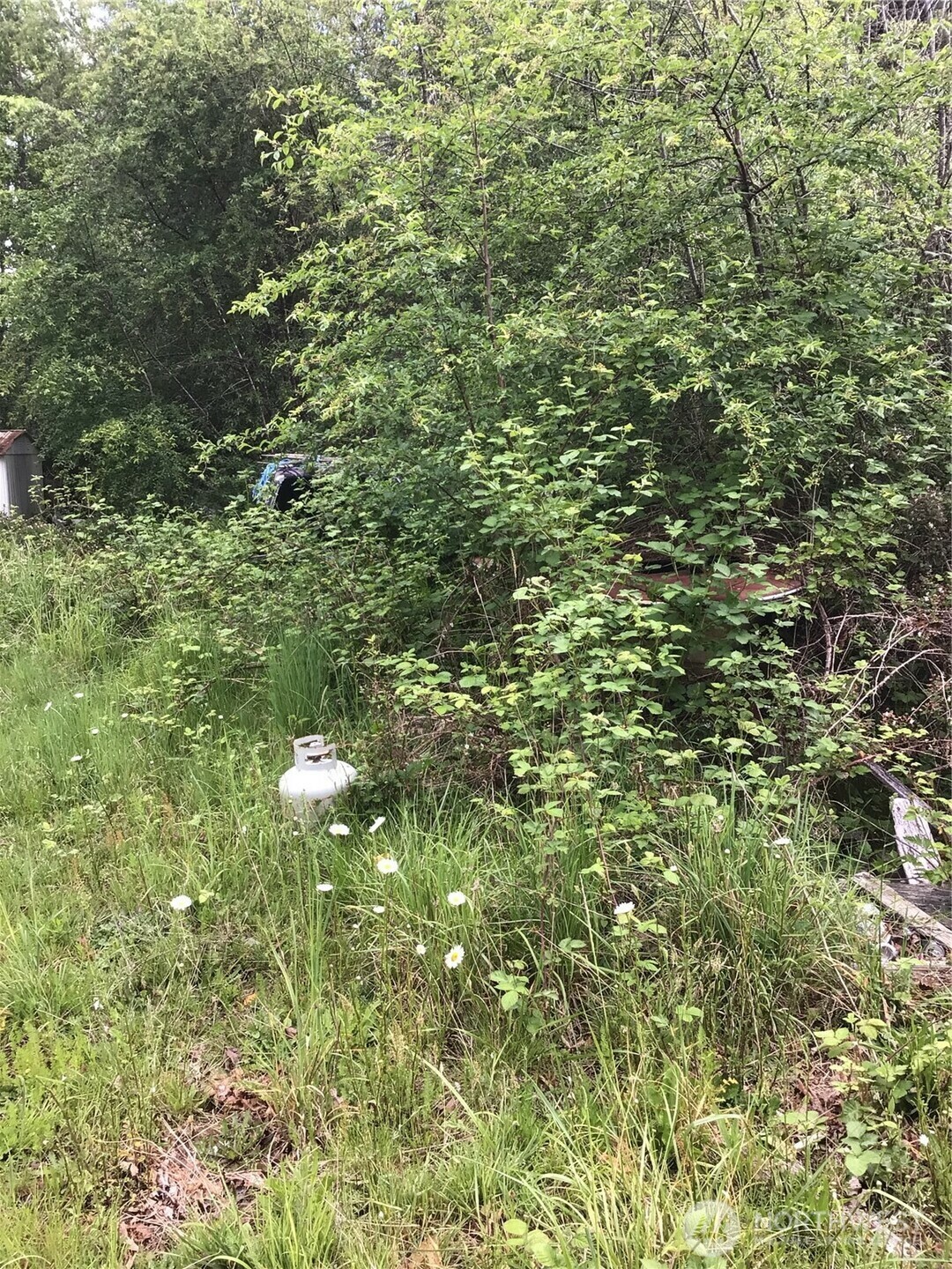 Property Photo: 579 Antrim Road WA 98596