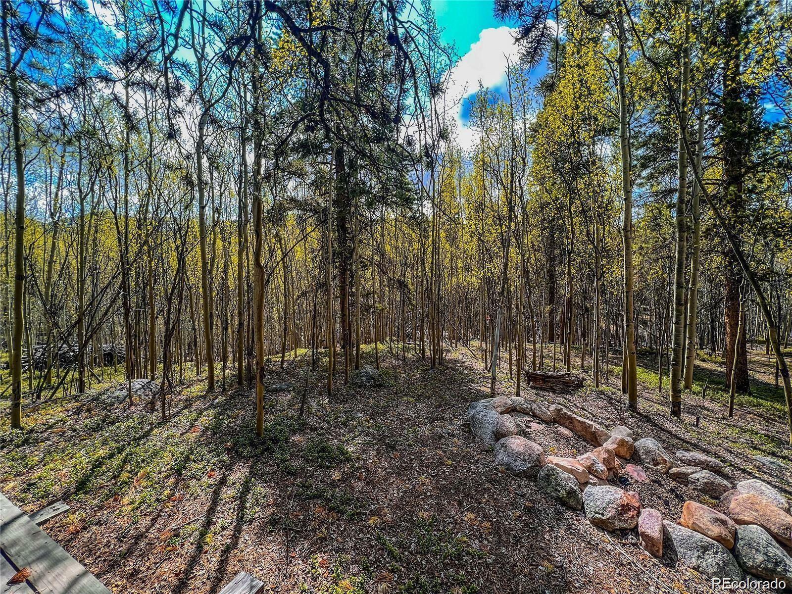 Property Photo: 2564 Empire Valley Drive CO 80461